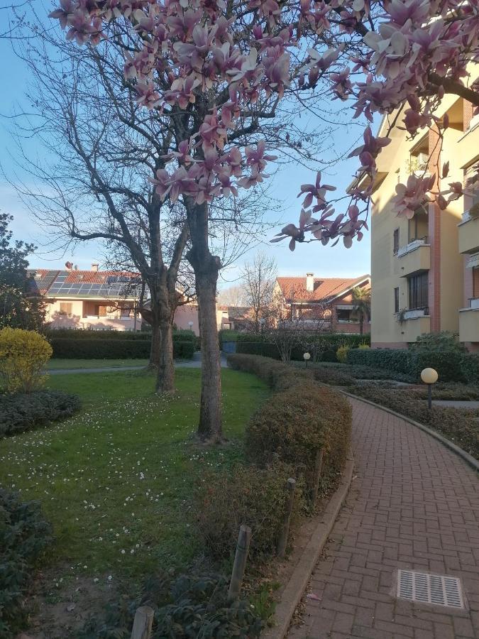 La Casa Blu- Forum Di Assago, Ospedale Humanitas, Milanofiori, Ieo Rozzano Kültér fotó